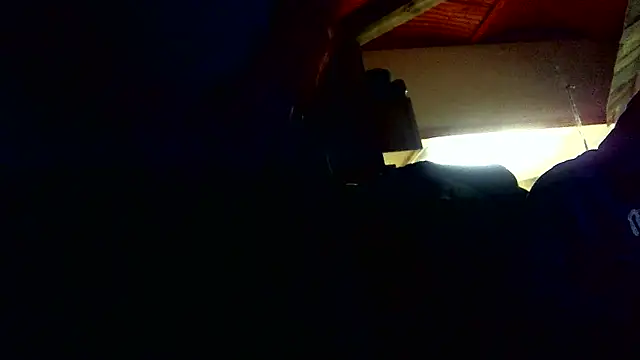 Dalton2288 online show from February 2026 10:36:02 AM