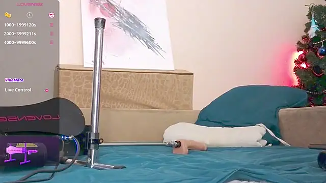 Snapshot of Ethan_and_mike chatting on February 2025 12:16:02 PM Ethan and mike online show from February 2025 12:16:02 PM