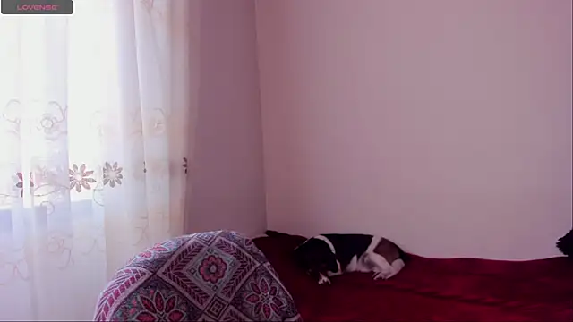 aluna 0310 online show from December 2024 08:45:01 PM