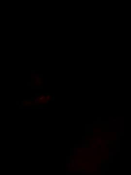 websterribeiro online show from March 2026 03:45:02 AM