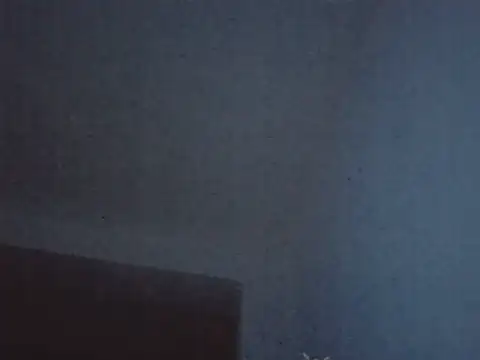 FallenDevil online show from February 2026 08:12:02 PM