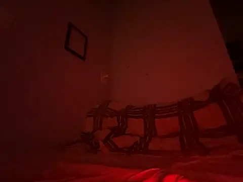 Snapshot of hype_de_punk chatting on February 2025 08:53:02 PM hype de punk online show from February 2025 08:53:02 PM