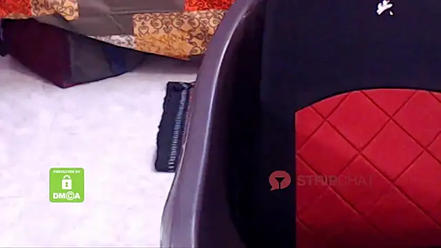 Snapshot of Novapol chatting on February 2025 10:31:02 AM Novapol online show from February 2025 10:31:02 AM