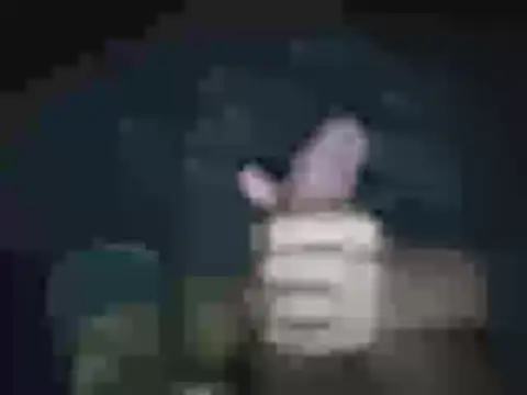 Snapshot of jheisonct chatting on April 2026 03:59:01 AM jheisonct online show from April 2026 03:59:01 AM