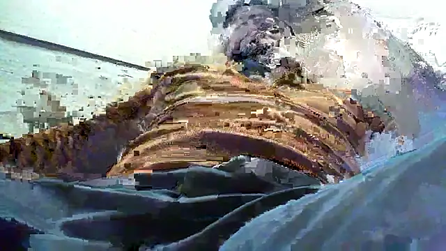 Billywax online show from January 2026 09:11:01 AM