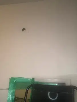 Snapshot of Foreignthababyy chatting on January 2026 03:12:02 AM Foreignthababyy online show from January 2026 03:12:02 AM