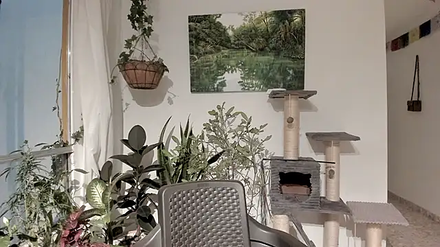 Snapshot of sexnherbs chatting on February 2026 12:37:02 AM sexnherbs online show from February 2026 12:37:02 AM