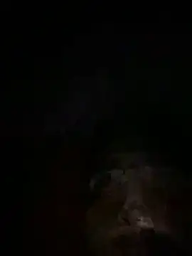 Eslam222s online show from March 2026 12:06:01 AM