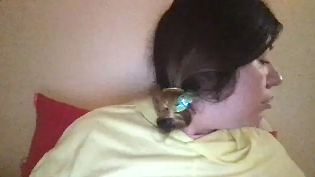 Snapshot of HYPHYtype chatting on March 2025 04:07:02 AM HYPHYtype online show from March 2025 04:07:02 AM