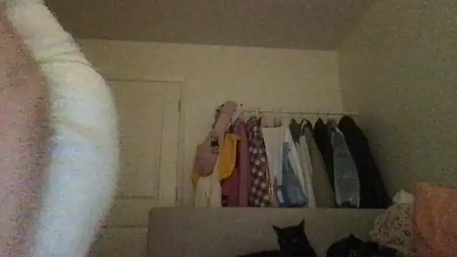 Snapshot of HYPHYtype chatting on September 2025 07:44:02 AM HYPHYtype online show from September 2025 07:44:02 AM