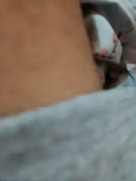 Snapshot of riggijaviersalas chatting on November 2025 01:15:01 AM riggijaviersalas online show from November 2025 01:15:01 AM