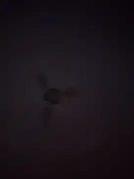 1Aleks13 online show from November 2025 10:54:02 PM