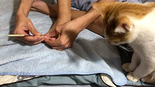 Snapshot of RiderFloor chatting on February 2026 08:12:02 PM RiderFloor online show from February 2026 08:12:02 PM