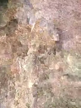 FinableKnee online show from April 2026 01:08:01 AM