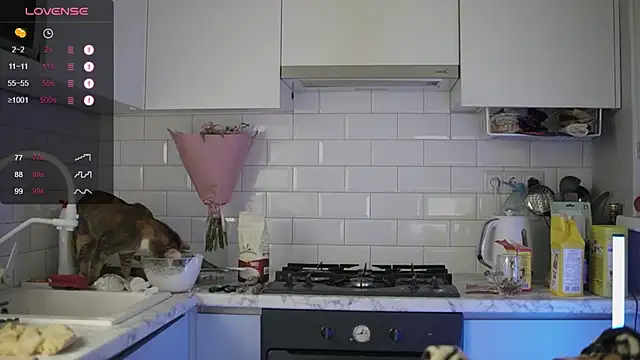 Snapshot of melanielwithu chatting on December 2024 09:41:01 PM melanielwithu online show from December 2024 09:41:01 PM