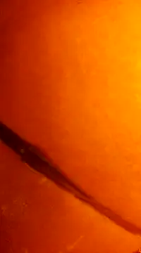 Snapshot of k_lebannon chatting on December 2024 11:49:02 PM k lebannon online show from December 2024 11:49:02 PM