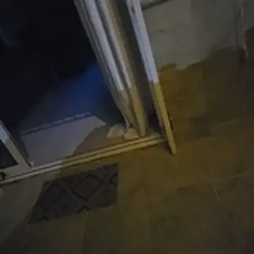 Trucker Hunter online show from February 2026 11:36:02 PM