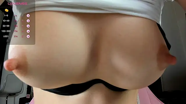 illegal lorry online show from December 2024 09:43:02 AM