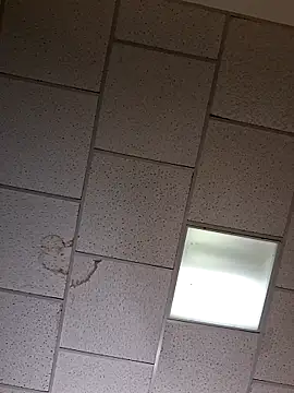 Snapshot of curiouscock38 chatting on October 2025 08:42:01 AM curiouscock38 online show from October 2025 08:42:01 AM