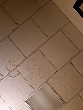 Snapshot of curiouscock38 chatting on November 2025 11:54:02 AM curiouscock38 online show from November 2025 11:54:02 AM