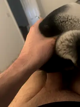 Snapshot of Furdale chatting on December 2024 03:00:02 PM Furdale online show from December 2024 03:00:02 PM