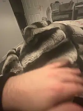 Snapshot of Furdale chatting on December 2024 09:33:02 PM Furdale online show from December 2024 09:33:02 PM