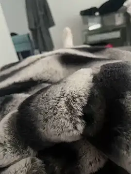 Snapshot of Furdale chatting on December 2024 11:56:02 AM Furdale online show from December 2024 11:56:02 AM