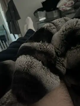 Snapshot of Furdale chatting on December 2024 03:00:02 PM Furdale online show from December 2024 03:00:02 PM