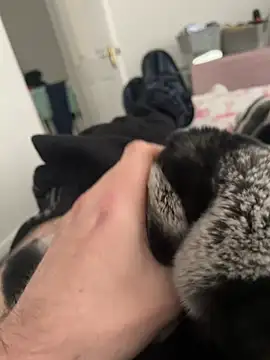 Snapshot of Furdale chatting on December 2024 01:07:02 PM Furdale online show from December 2024 01:07:02 PM