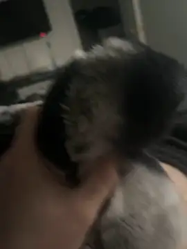 Snapshot of Furdale chatting on January 2025 03:26:01 PM Furdale online show from January 2025 03:26:01 PM