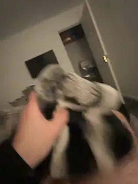 Snapshot of Furdale chatting on January 2025 05:19:01 PM Furdale online show from January 2025 05:19:01 PM