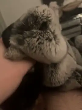 Snapshot of Furdale chatting on January 2025 06:04:01 PM Furdale online show from January 2025 06:04:01 PM