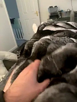 Snapshot of Furdale chatting on September 2025 04:29:01 PM Furdale online show from September 2025 04:29:01 PM