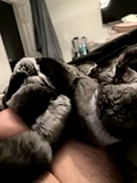 Snapshot of Furdale chatting on November 2025 05:17:02 PM Furdale online show from November 2025 05:17:02 PM