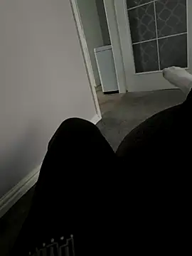 Snapshot of Furdale chatting on November 2025 01:46:02 PM Furdale online show from November 2025 01:46:02 PM