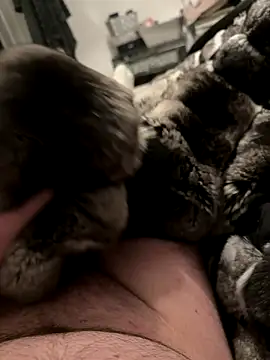 Snapshot of Furdale chatting on December 2025 07:00:01 PM Furdale online show from December 2025 07:00:01 PM