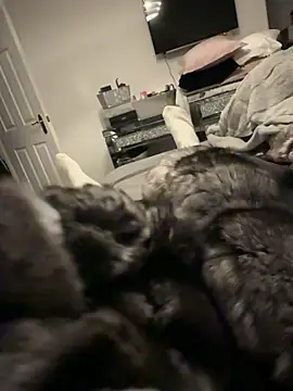 Snapshot of Furdale chatting on December 2025 04:13:02 PM Furdale online show from December 2025 04:13:02 PM