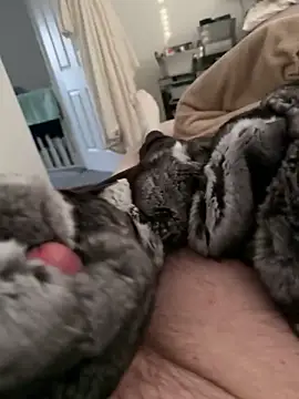 Furdale online show from February 2026 04:24:02 PM