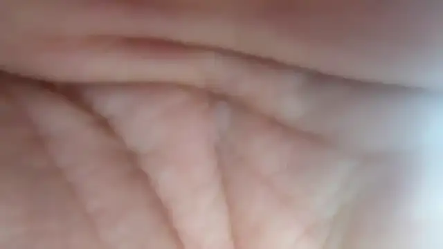 AnnualSunrise online show from January 2025 10:43:01 AM