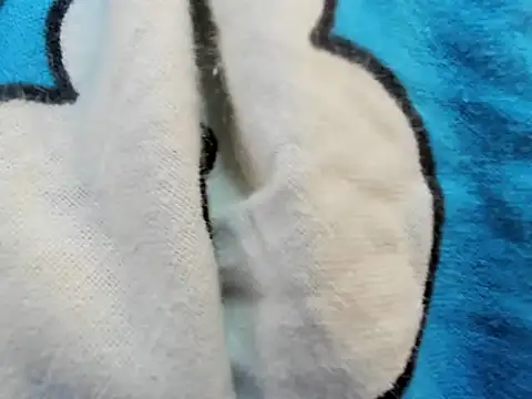 Snapshot of bigbooty29 chatting on September 2025 04:50:01 AM bigbooty29 online show from September 2025 04:50:01 AM