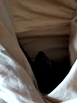 Snapshot of malluflash chatting on February 2026 07:58:02 AM malluflash online show from February 2026 07:58:02 AM