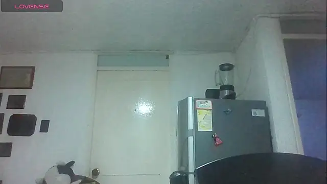 SexDiffrent online show from November 2025 06:39:01 PM