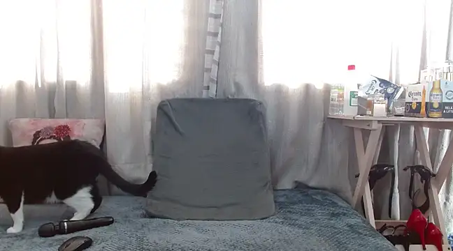 Boonny Boo01 online show from February 2025 01:41:01 PM