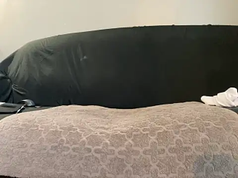 Snapshot of BruceIsHorny_ chatting on February 2026 02:36:01 PM BruceIsHorny online show from February 2026 02:36:01 PM