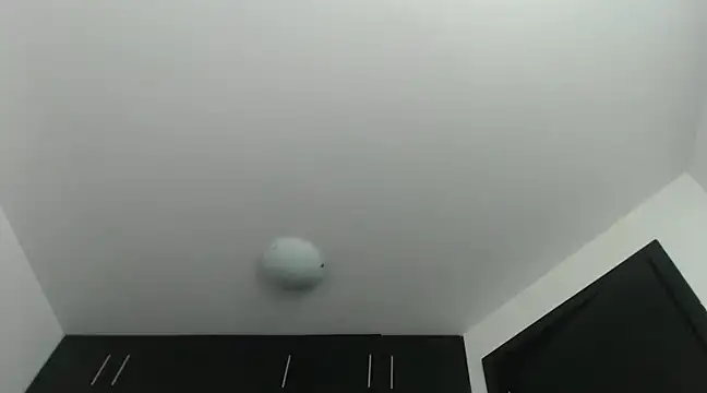 Snapshot of Mysteriousexy chatting on January 2025 08:31:02 PM Mysteriousexy online show from January 2025 08:31:02 PM