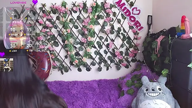 Snapshot of MidoriQuiinn chatting on January 2025 05:03:01 PM MidoriQuiinn online show from January 2025 05:03:01 PM