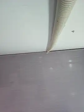 sweet lucia online show from March 2026 09:21:01 PM