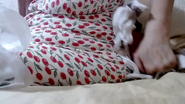 Anabelldestiny online show from February 2025 12:11:02 PM