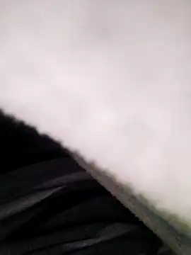 Pitercom online show from November 2025 08:41:01 PM