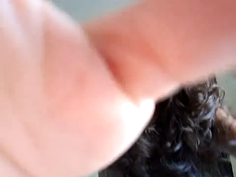 Snapshot of Abysparadise chatting on November 2025 05:46:02 PM Abysparadise online show from November 2025 05:46:02 PM